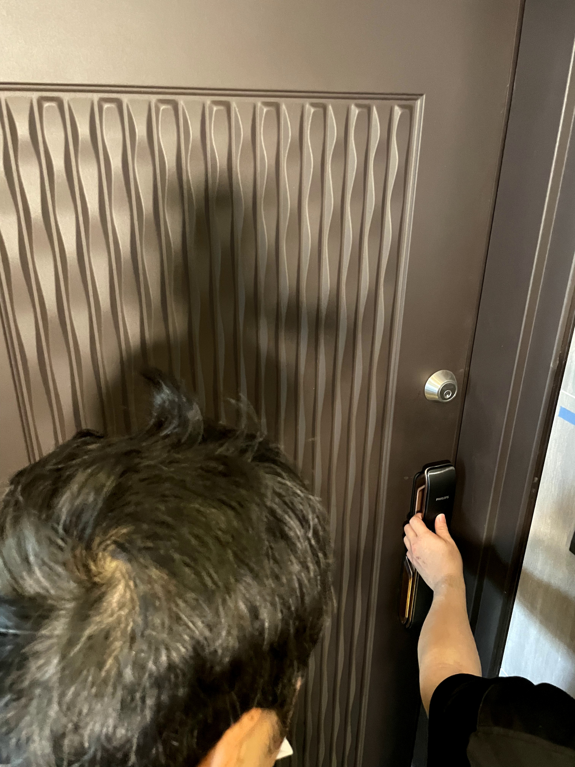 29